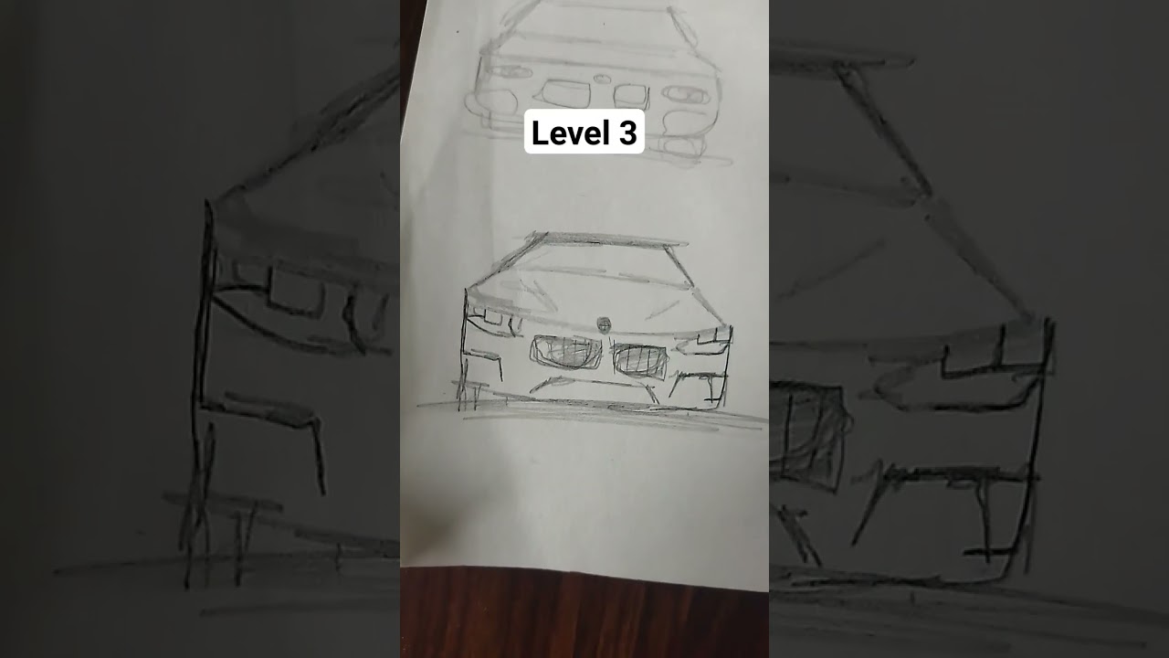 bmw level 