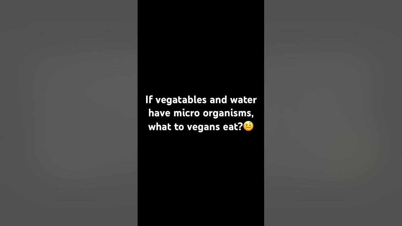 like-what-do-they-eat-youtube