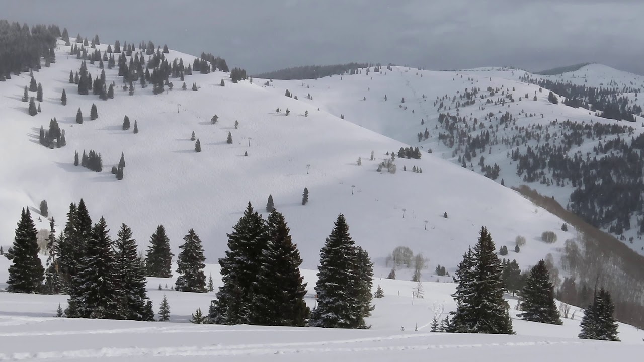 Back Bowls Vail, Colorado 1/29/20 YouTube