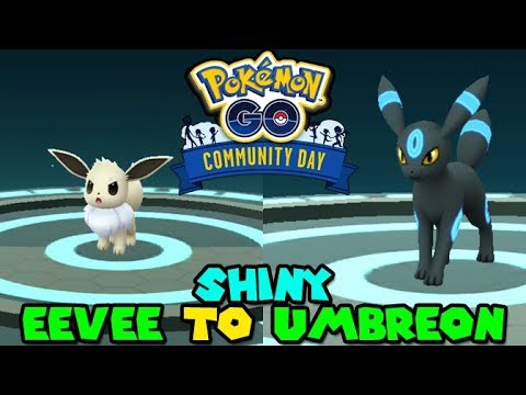 How To Guarantee Shiny Eevee To Shiny Umbreon Evolution In Pokemon Go Youtube