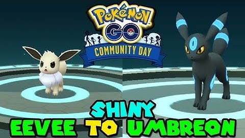 HOW TO GUARANTEE SHINY EEVEE to SHINY UMBREON EVOLUTION IN POKEMON GO