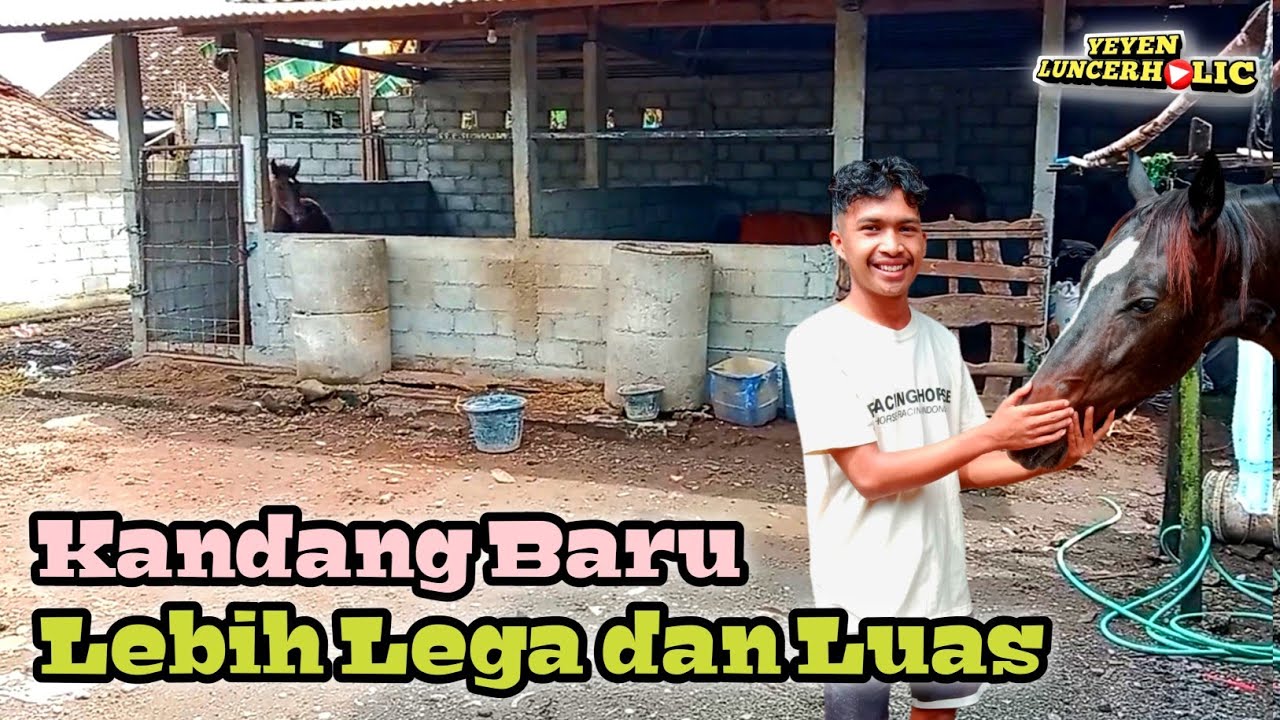 Setelah Direnovasi Begini Sekarang Kandang Kuda Mbah Widar