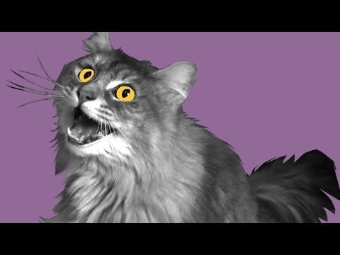 Cat Alarm / SKETCH