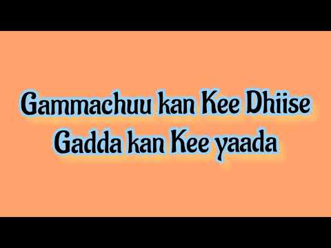 Walaloo Afaan Oromoo Gaafa Tokko Tokko