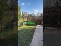 What a windy day
