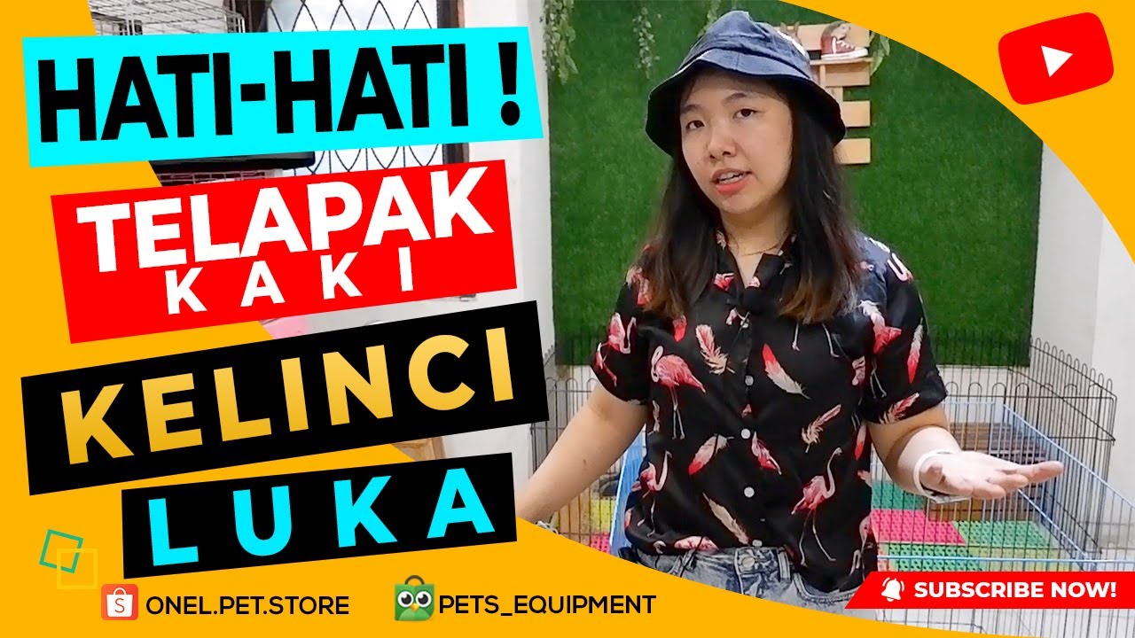 MACAM-MACAM ALAS KANDANG/KAKI KELINCI