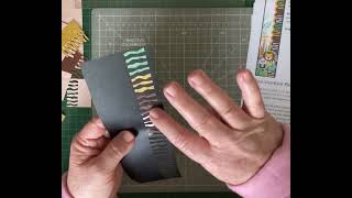 Creating Borders with Zebra Stripe BMC | What A Zoo, Too! | Creative Memories