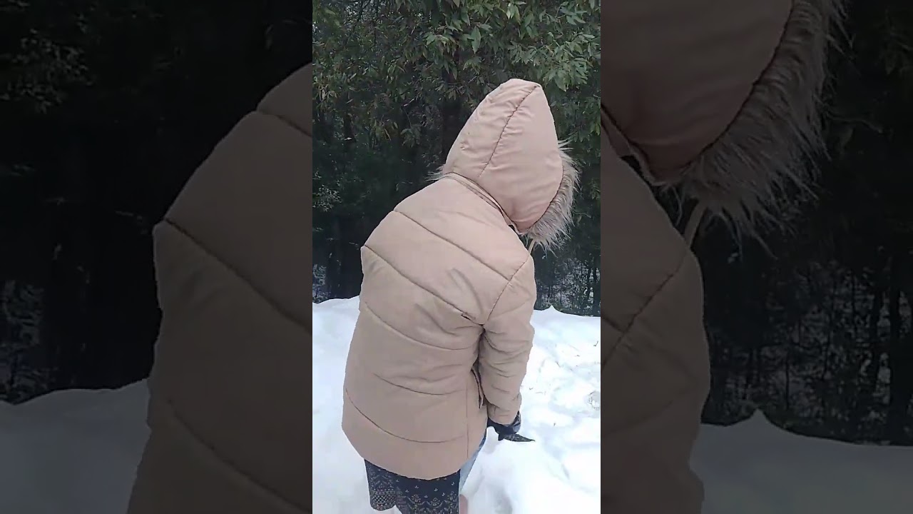 Shimla ka barf Himachal 🏔️🌲 