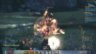 tera wizard
