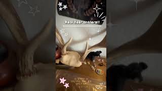 My room tour!! (Finally lmao) #therian #alterhuman #room #roomtour #oddities #furry #alternative My room tour!! (Finally lmao) #therian #alterhuman #room #roomtour #oddities #furry #alternative