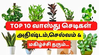 'Top 10 வாஸ்து செடிகள்' | வீட்டில் பணத்தை ஈர்த்து ,அதிஷ்டம் தரும் செடிகள்| Gardening Tips Tamil