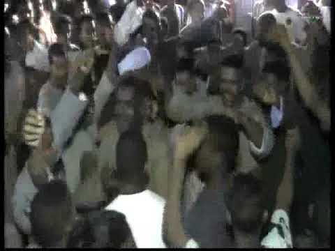 افراح كلح المفالسه فرح محمدعبدالصبور الفنان تامر صحافه