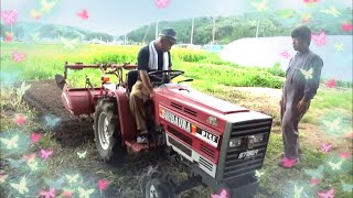 シバウラトラクターを試乗する重機整備士桂田興業さん シャチさんちの