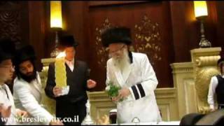 שירים והבדלה אצל הצדיק מיבנאל