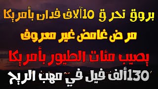 غابات يوتا الأمريكية تحـ تـ ر ق - 130 ألف فيل في مهب الريح - عـ مـ ـى غامض يصيب مئات الطيور بواشنطن