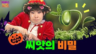 작은 씨앗은 어떻게 큰 나무가 되는 걸까?ㅣ씨앗의 비밀ㅣ깔깔 마녀｜KBS 방송