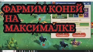 :       STORMSHOT/     ?