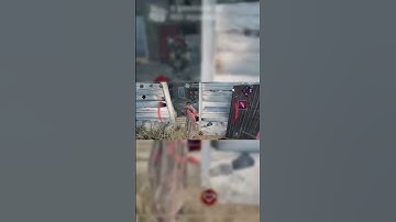 i should’ve just let her hook her ngl #dbdshorts #dbd #dbdmobilefun #dbdmobile #shorts #fyp