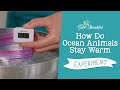Blubber Experiment Quiz