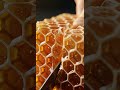 ASMR Honeycomb Cutting – Sticky Perfect Slice