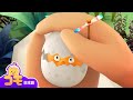 パパ鶏のタリ。+ 追加エピソード | とんとん、みんなをいやす可愛いコモ エピソード | 幼児向けアニメ