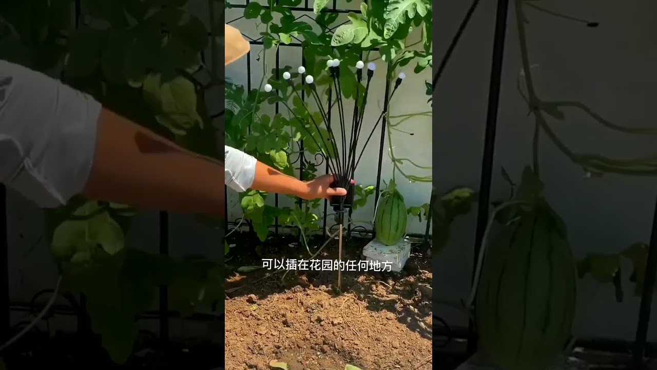 Fohil Solar garden lights exude charm in your garden!