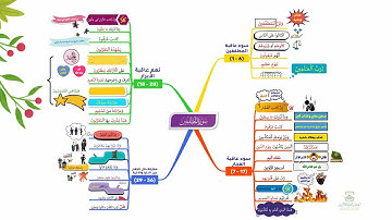 احفظ سورة المزمل بالخرائط الذهنية بالتكرار ومع التدبر(2). الآيات(15_20)