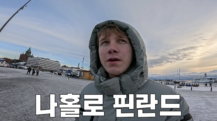 핀란드 호소인의 겨울왕국 생존기 [핀란드 1]
