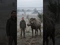 O ENTELODON EM ESCALA REAL É AINDA MAIS IMPRESSIONANTE