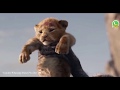 The Lion King Whatsapp status (HD)