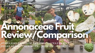 Annonaceae Fruit Review / Comparison - Soursop, Cherimoya, Sugar apple & Atemoya