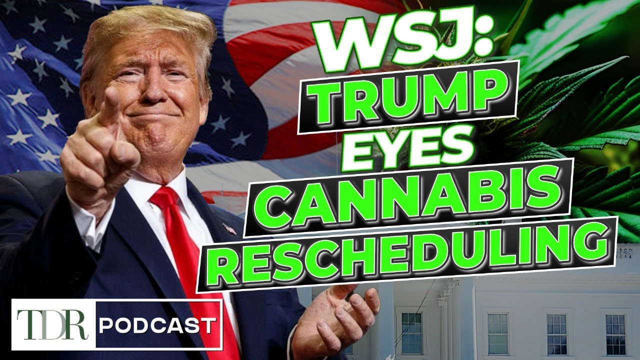 Trump Signals Possible Cannabis Rescheduling | TDR Cannabis in 5