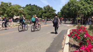 Noon rush hour on a few days at uc davis, time lapsed. filmed using my
phone bike. , music is the lone ranger theme.