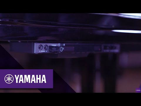 How to connect without a router | Silent Piano & TransAcoustic | Yamaha Music