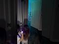 Family finds ghost in house #shorts