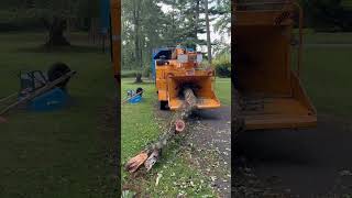 #stormdamage