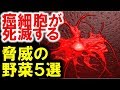 ガン予防と脅威の栄養素を持つ最強野菜５選、