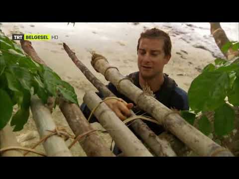 Video: Borneoda bir hafta: Yakuniy marshrut