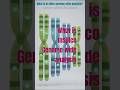 What is Insilico Genome Wide Analysis #science #biology