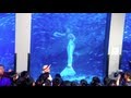 Real Mermaid Footage in Japan Aquarium Live TV