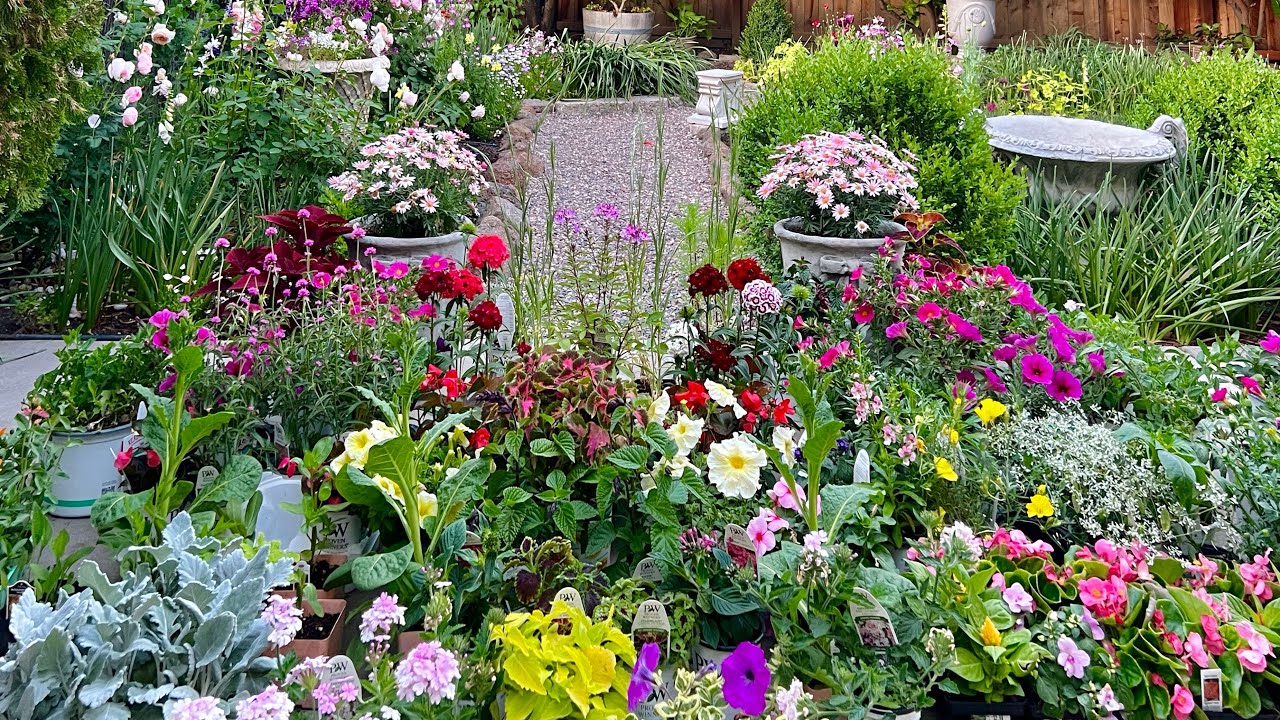 🪴 Spring 2025 Haul of High-Performance Plants