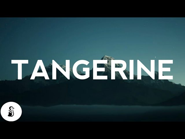 Glass Animal - Tangerine (Lyrics)