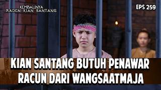 Kian santangButuh PenawarRacun Dari Wangsaatmaja | KEMBALINYA RADEN KIAN SANTANG | EPS. 259 | PART 4