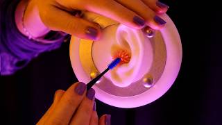 ASMR Your Ears Were Chosen as Our New Model | Measurements, Ear Mapping & Squishies (Soft Spoken) screenshot 4
