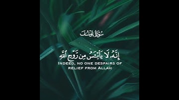 تلاوة من سورة يوسف القارئ وديع اليمني