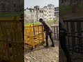 Welding works co² welding works welder life hard work fabrication work