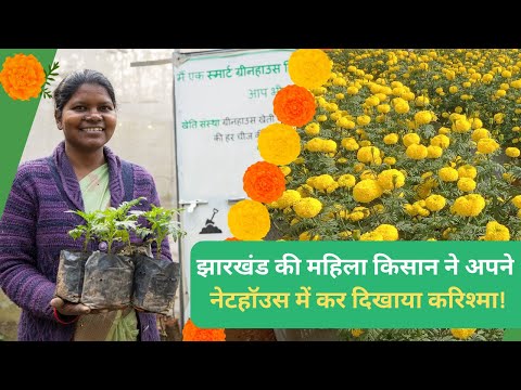 Shabnam Topno's Triumph: Kheyti's Greenhouse in a Box - video from Kheyti