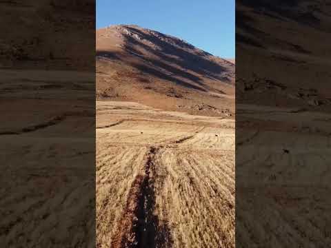 Tufanbeyli Bozkırları