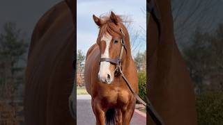 First Day of Spring 🌸