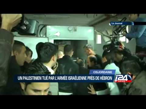 Vidéo: L'armée Israélienne Admet Avoir Utilisé Des Chiens Contre Des Palestiniens